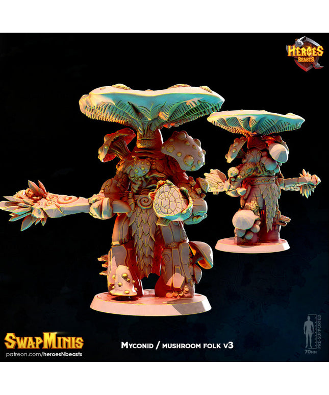 mushroom folk classic v3