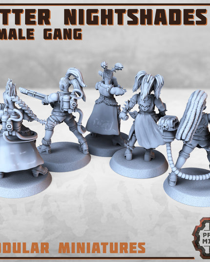 Bitter Nightshades Gang - Heavy Weapons x5 (modular)
