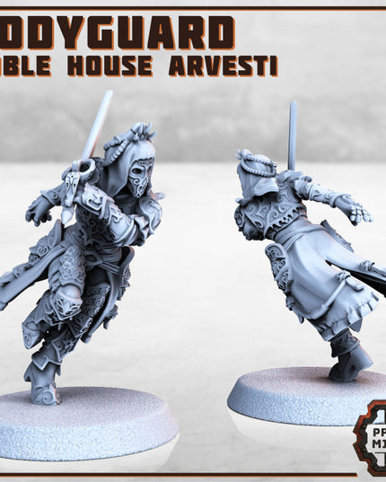 Noble Bodyguard