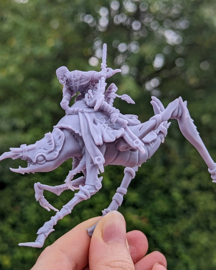 Erroish Chief - Desert Rider