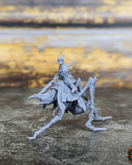 Erroish Desert Riders (Modular)