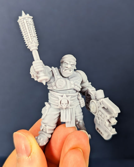 Male Pirate Ogres