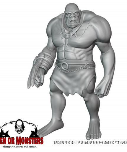 Ogre - 1 Figure
