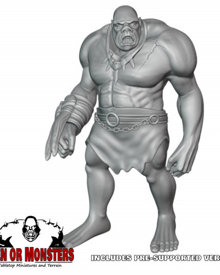 Ogre - 1 Figure