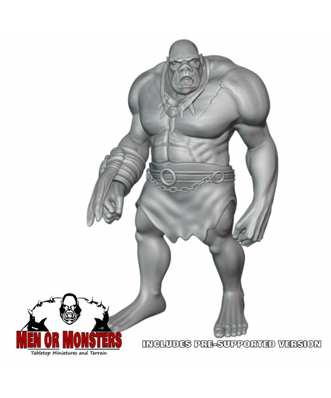 Ogre - 1 Figure