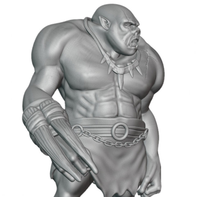 Ogre - 1 Figure