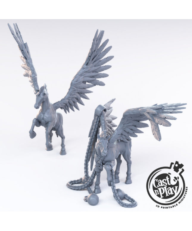 Pegasus