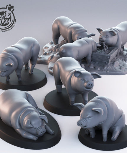 Pigs