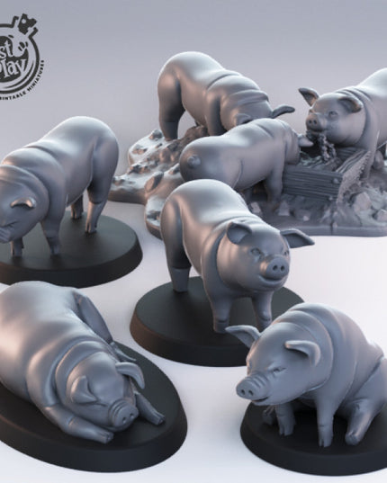 Pigs
