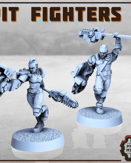 Pit Fighters x2