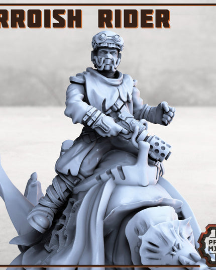 Erroish Desert Riders (Modular)