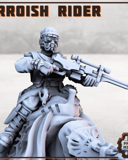 Erroish Desert Riders (Modular)