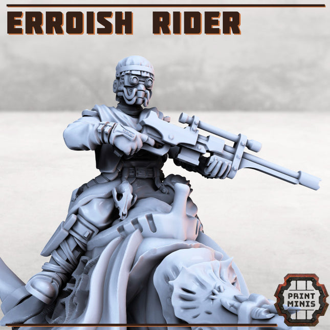 Erroish Desert Riders (Modular)