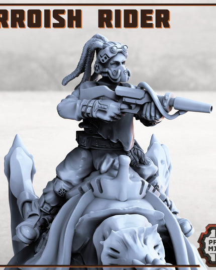 Erroish Desert Riders (Modular)
