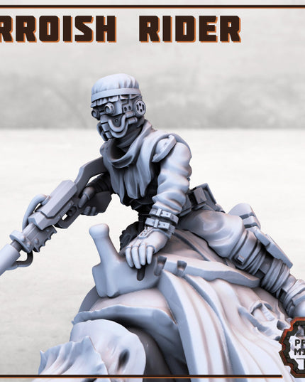 Erroish Desert Riders (Modular)