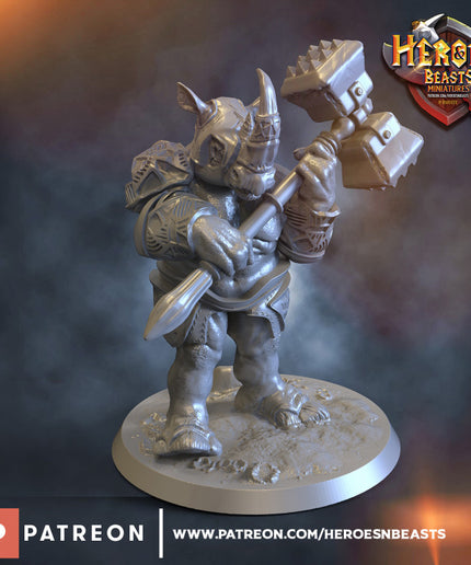 Rhinokin - hammer fighter