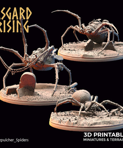 Sepulcher Spiders