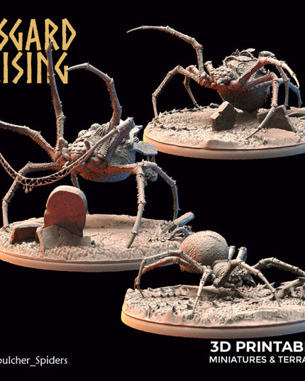 Sepulcher Spiders