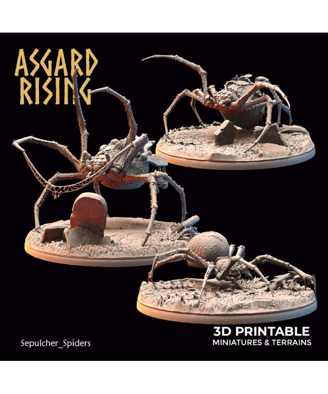 Sepulcher Spiders