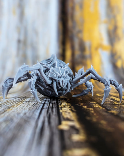 Sump Spiders