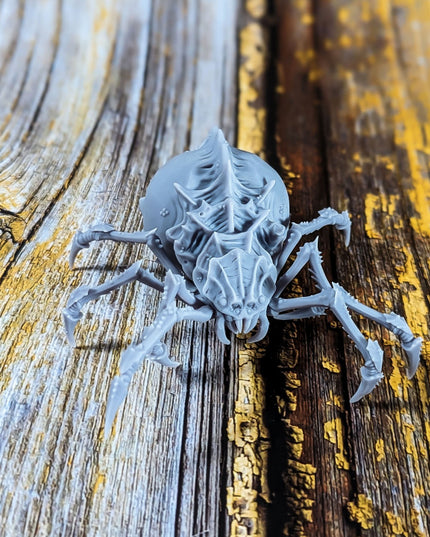Sump Spiders