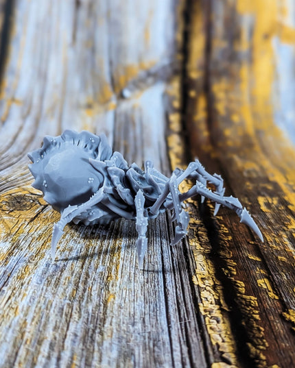 Sump Spiders