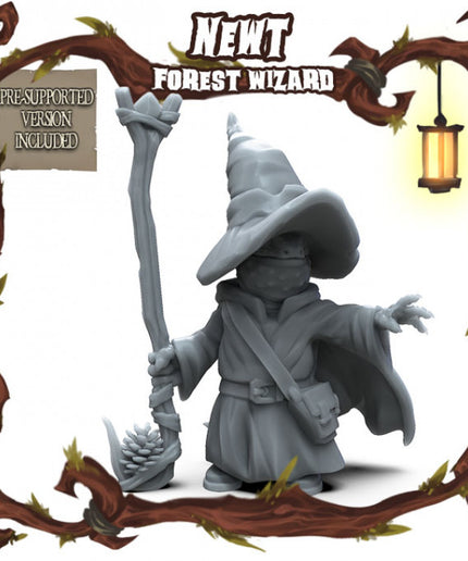Newt Folk: Forest Wizard