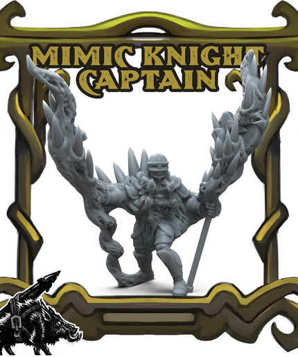 Mimic Knight Captain