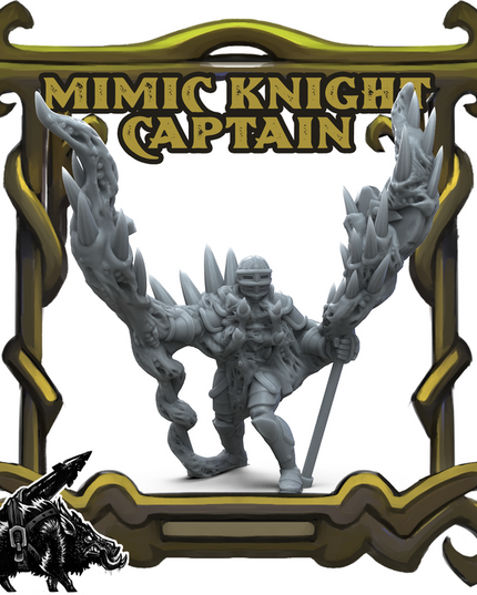 Mimic Knight Captain