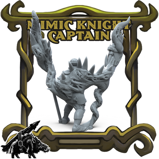 Mimic Knight Captain