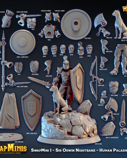 Swapmini 1- paladin - Sir Oswin Nightbane