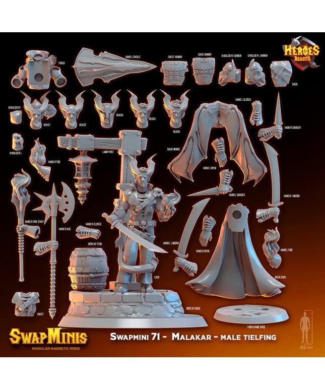 Swapmini 71 - Malakar - male tielfing