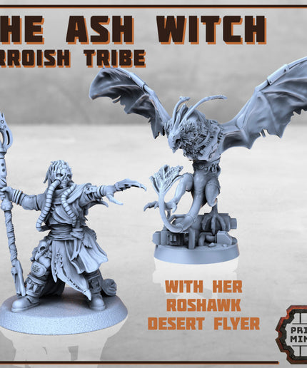 The Ash Witch & Roshawk Flyer - Erroish Tribe