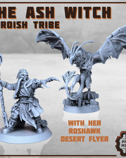 The Ash Witch & Roshawk Flyer - Erroish Tribe
