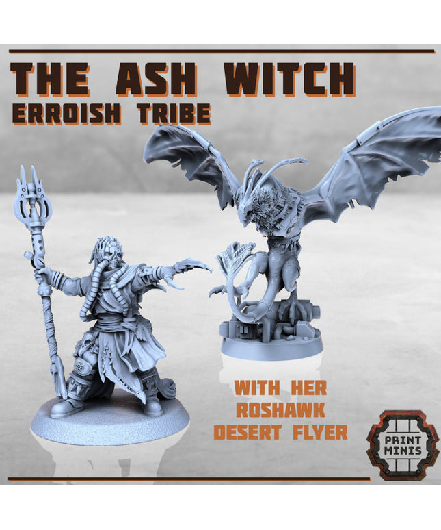 The Ash Witch & Roshawk Flyer - Erroish Tribe