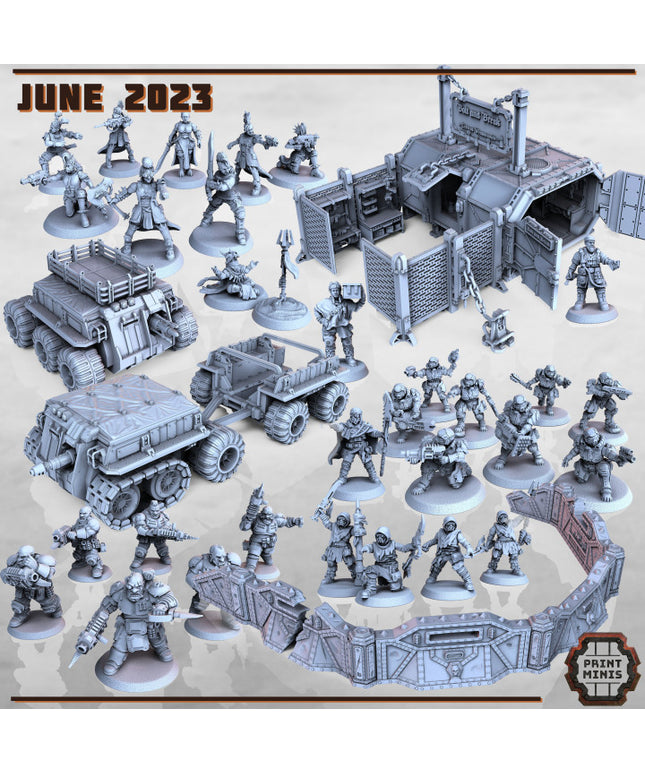 The Gangs - June 2023 Collection