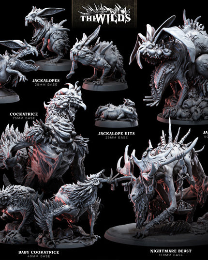 The Wilds Part 1: Collection
