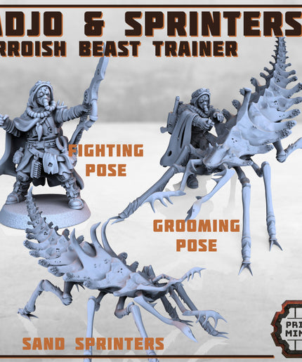 Erroish Beast Trainer and Sand Sprinters