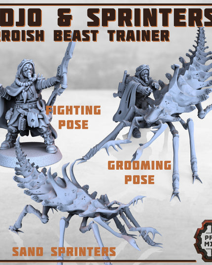 Erroish Beast Trainer and Sand Sprinters