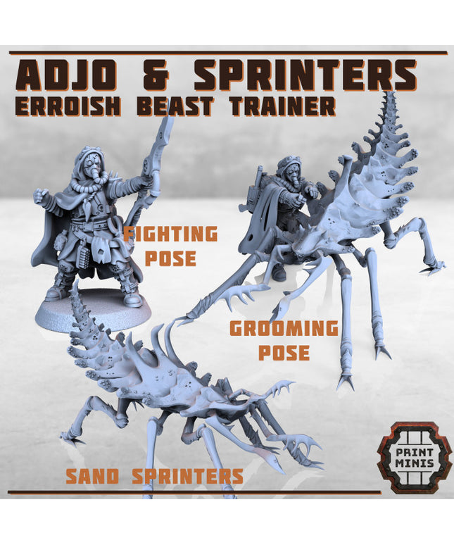 Erroish Beast Trainer and Sand Sprinters