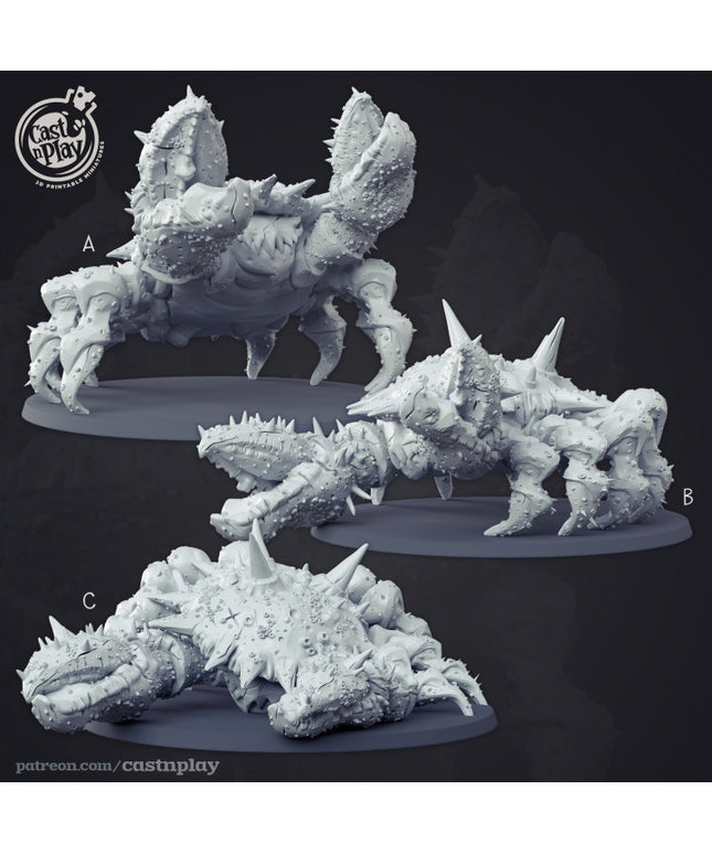 Undead Pirate Beast