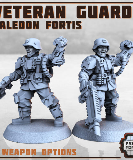 Veteran Guard - Kaledon Fortis