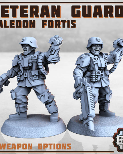 Veteran Guard - Kaledon Fortis