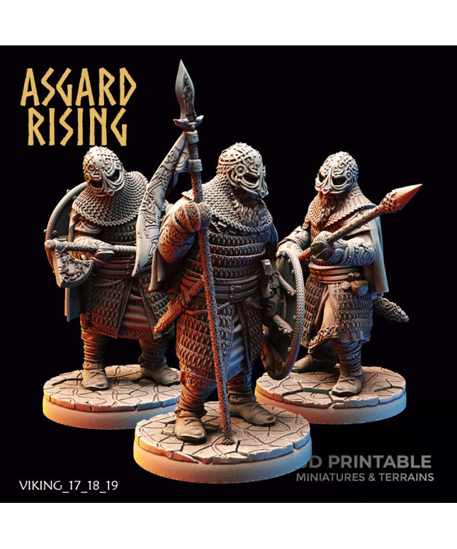VIKING: Hersir with Guardsmen (Modular)
