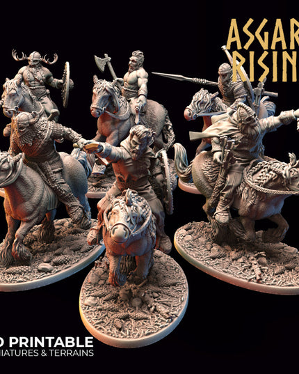 VIKING: Riders Modular Warband