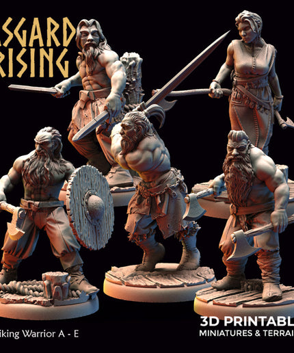 Viking Warriors