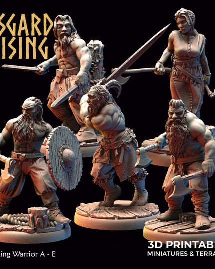 Viking Warriors