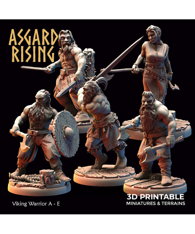 Viking Warriors