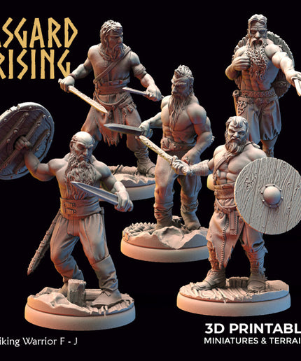 Viking Warriors