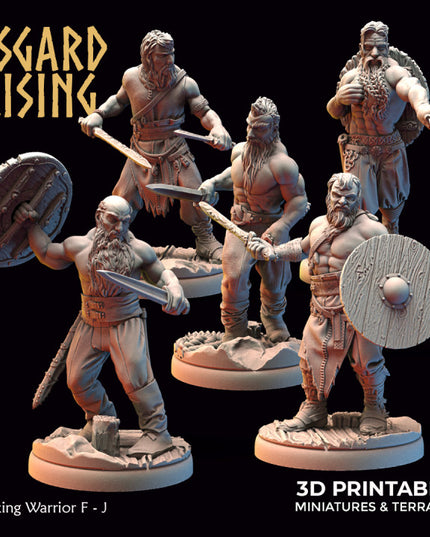Viking Warriors